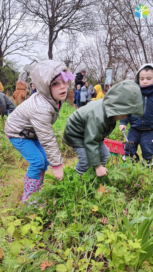 Matinée jardinage pour les PS le jeudi 04 avril